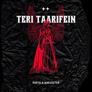 Teri Taarifein