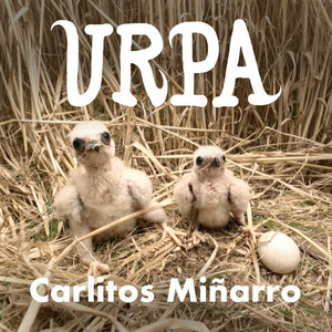 Urpa