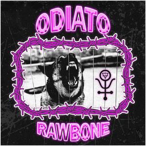 RAWBONE (Explicit)