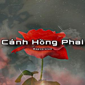 CÁNH HỒNG PHAI (Rap Version)