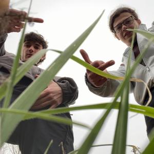 egyed (k) i (feat. nagyfero) (Explicit)