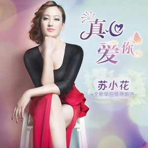真心爱你 - 苏小花封面