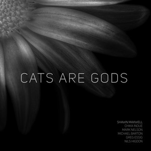 Cats Are Gods