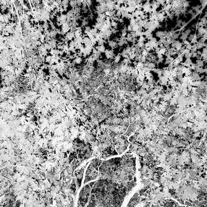 blat333 ! (Explicit)