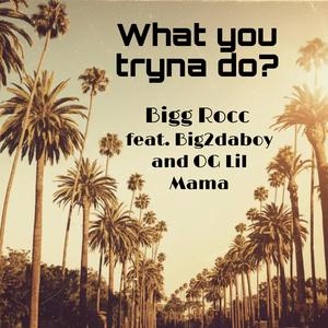 What you tryna do? (feat. Big2daboy & OG Lil Mama) (Explicit)