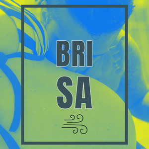 Brisa