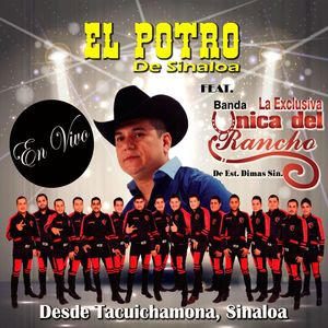 Desde Tacuichamona, Sinaloa