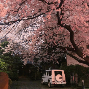 九月底-booobo