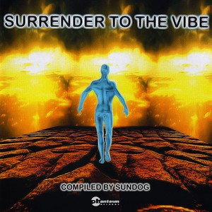 Surrender to the Vibe