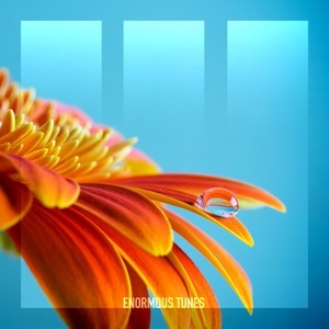 Reflections (Extended Mix)