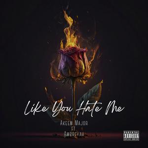 Like You Hate Me (feat. Ambreyah) [Explicit]
