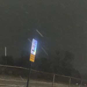 Undead Loner (feat. Guap)