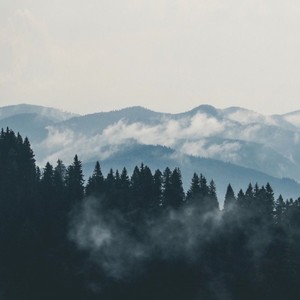江上晚风吟