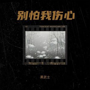 别怕我伤心