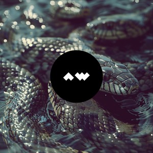 I Don't Understand Humans