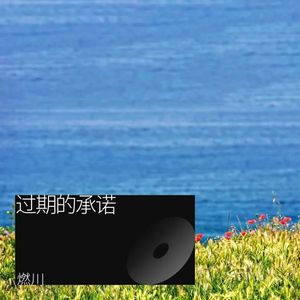 过期的承诺封面