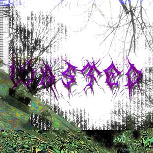 Wasted(feat. FRØSTBITE)