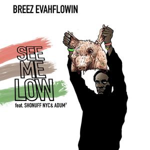 See Me Low (feat. Shonuff NYC & ADUM⁷) [Explicit]