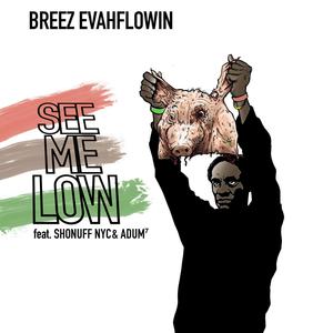 See Me Low(feat. Shonuff NYC & ADUM⁷) (Explicit)