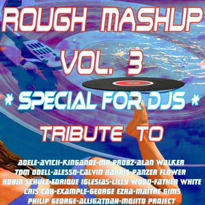 Rough Mashup, Vol. 3 (Special for DJs)