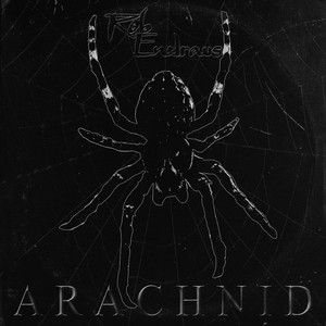 Arachnid