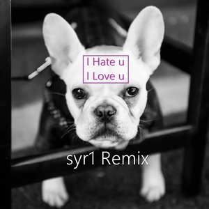 i hate u i love u (syr1 Remix)
