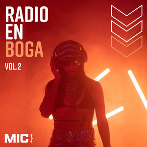 Radio En Boga Vol. 2