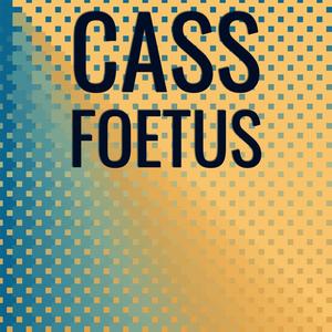 Cass Foetus