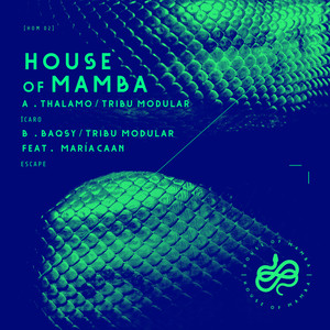 House Of Mamba, Vol. 02