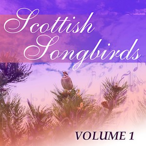 Scottish Songbirds, Vol. 1