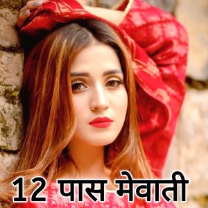 12 पास मेवाती