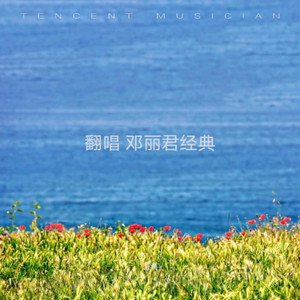 枫叶飘飘封面