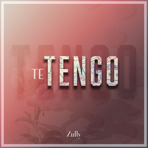 Te Tengo