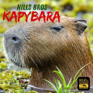 Kapybara /prod.Damian Custom (feat. Wašo)