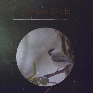 Beat of a Small Heart