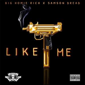 Like Me (feat. Samson Dread) [Explicit]