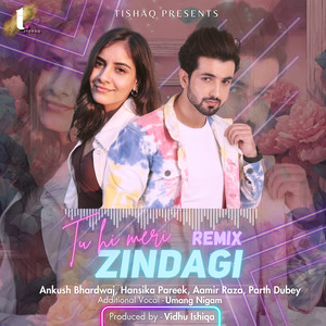 Tu Hi Meri Zindagi (Remix)