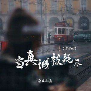 当真诚被耗尽 (摇摆版)封面