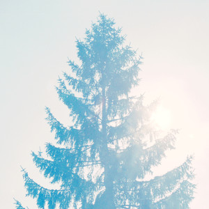 Piecebypiece (Intaktogene Remix)