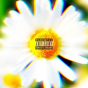 Pushin Up Daisies (Explicit)