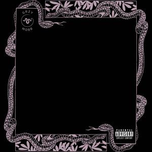 Raxx 2 tha Maxx (Explicit)