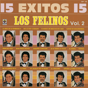 15 Éxitos, Vol. 2