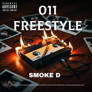 011 FREESTYLE