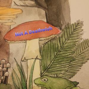 Not A Deathwish (Explicit)