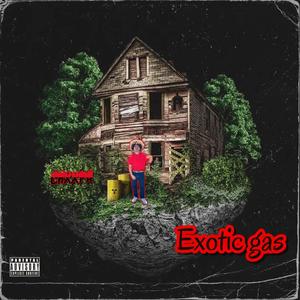 Exotic gas (Explicit)