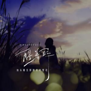 醒着醉 (抬头看见那微笑的雪花)