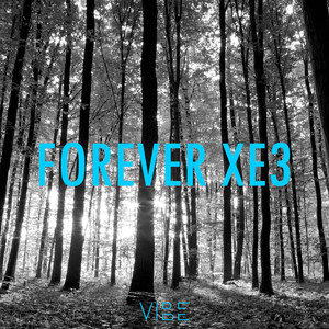 Forever Xe3 (Vibe Mashup) [Explicit]