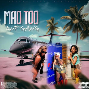 Mad Too (feat. Dski, Lyaa tha G & Neq da freak) (Explicit)