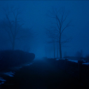 disillusionment (slowed)