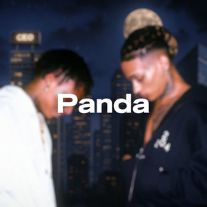Panda (Explicit)